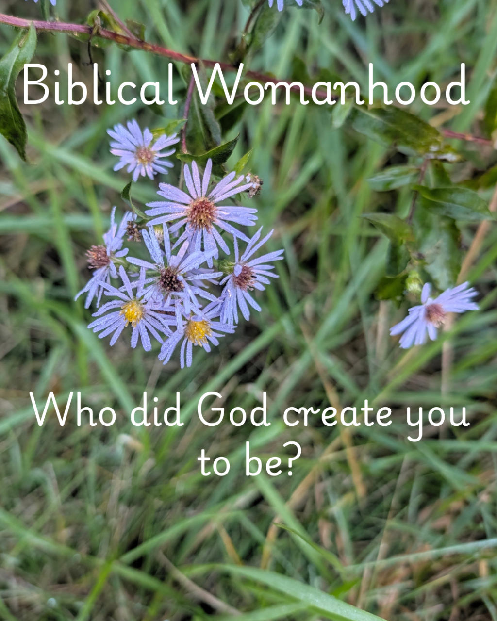 Biblical Womanhood