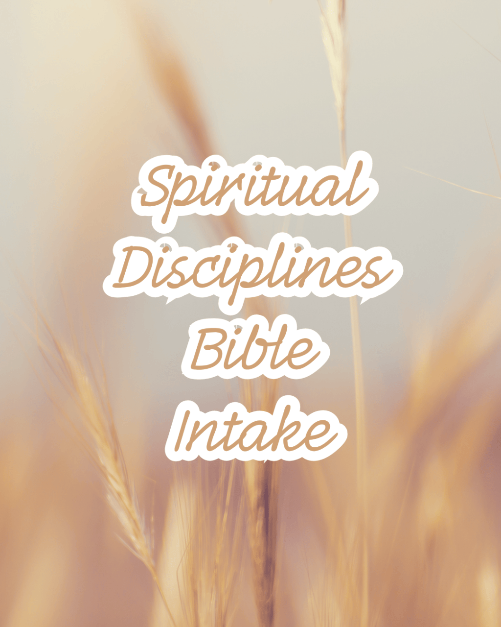 Spiritual Disciplines: Bible&nbsp;Intake